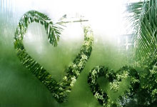 世界杯德国对阵日本为何爆冷？这场比赛藏着哪些足球密码？