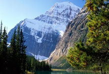 2024巴西甲级联赛有哪些不容错过的看点？