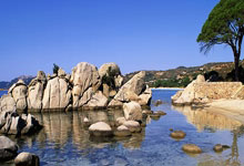 世预赛欧洲区最新战况如何？豪强厮杀、黑马涌现亮点多！